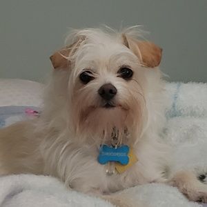 Meet your Posher, Bella_673